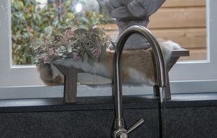 Moderne keuken Lunteren